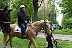 GALLOPNYC-5-22-2022-9560-DDeRosaPhoto