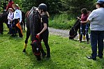 GALLOPNYC-5-22-2022-9592-DDeRosaPhoto