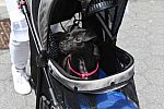 GALLOPNYC-5-22-2022-9617-DDeRosaPhoto