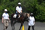 GallopNYC Sunrise-Farm-06-26-22-0910-DDeRosaPhoto