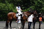 GallopNYC Sunrise-Farm-06-26-22-1034-DDeRosaPhoto