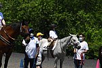 GallopNYC Sunrise-Farm-06-26-22-1097-DDeRosaPhoto