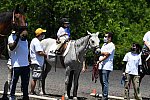GallopNYC Sunrise-Farm-06-26-22-1104-DDeRosaPhoto