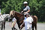 GallopNYC Sunrise-Farm-06-26-22-1117-DDeRosaPhoto