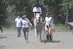 GallopNYC Sunrise-Farm-06-26-22-1399-DDeRosaPhoto