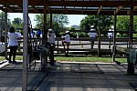 GallopNYC Sunrise-Farm-06-26-22-5252-DDeRosaPhoto