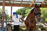 GallopNYC Sunrise-Farm-06-26-22-5266-DDeRosaPhoto