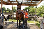 GallopNYC Sunrise-Farm-06-26-22-5271-DDeRosaPhoto