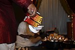 Gurudev1-7-12-14-7289-DDeRosaPhoto