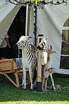 HC-10-29-10_0420-DDeRosaPhoto.jpg