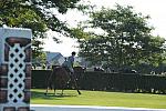 HC-10-29-10_0446-DDeRosaPhoto.jpg