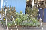 HC-10-29-10_0481-DDeRosaPhoto.jpg