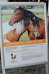 HC-10-29-10_0522-DDeRosaPhoto.jpg