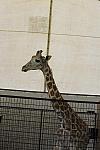 HC-10-29-10_0560-DDeRosaPhoto.jpg