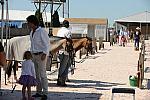 HC-10-29-10_0592-DDeRosaPhoto.jpg