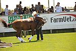 HC-10-29-10_0605-DDeRosaPhoto.jpg