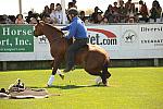 HC-10-29-10_0624-DDeRosaPhoto.jpg