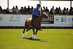 HC-10-29-10_0633-DDeRosaPhoto.jpg