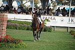 HC-9-4-11-0842-LisaDeslauriers-Diablo-DDeRosaPhoto.JPG