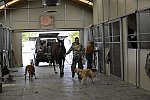 HHB2-10-13-12-0816-DDeRosaPhoto