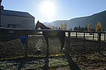 HHB2-10-14-12-1995-DDeRosaPhoto
