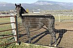 HHB2-10-14-12-2033-DDeRosaPhoto
