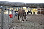 HHB2-10-16-12-2283-DDeRosaPhoto-DDeRosaPhoto