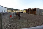 HHB2-10-16-12-2287-DDeRosaPhoto-DDeRosaPhoto