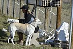 HHB2-10-14-12-1863-DDeRosaPhoto