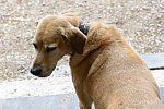 HHB2-10-13-12-0082-DDeRosaPhoto