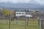 HHB1-10-13-12-9337-DDeRosaPhoto