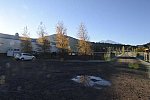 HHB2-10-14-12-1976-DDeRosaPhoto