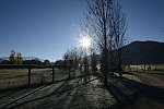 HHB2-10-14-12-2018-DDeRosaPhoto