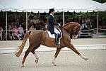 CatherineHaddadStaller-Winyamaro-USEF_2010_WEG_SelTrials_DER_6093-DDeRosaPhoto.jpg
