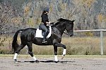 Frodo-HHB2-10-14-12-1485-MarianNilsen-DDeRosaPhoto