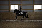 HHB2-10-13-12-0557-Frodo-MarianNilsen-DDeRosaPhoto