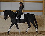 HHB2-10-13-12-0599-Frodo-MarianNilsen-DDeRosaPhoto