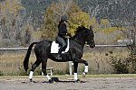 HHB2-10-14-12-1383-Frodo-MarianNilsen-DDeRosaPhoto