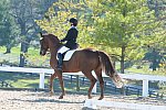 HHB-DressageFinals-11-8-13-0504-DDeRosaPhoto