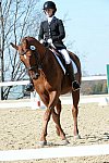 HHB-DressageFinals-11-8-13-0615-DDeRosaPhoto