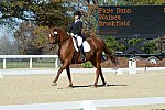 HHB-DressageFinals-11-8-13-0645-DDeRosaPhoto