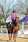 HHB-DressageFinals-11-9-13-2161-DDeRosaPhoto