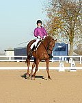 HHB-DressageFinals-11-9-13-2168-DDeRosaPhoto