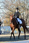 HHB-DressageFinals-11-9-13-2259-DDeRosaPhoto