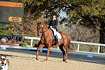 HHB-DressageFinals-11-9-13-2265-DDeRosaPhoto
