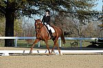 HHB-DressageFinals-11-9-13-2304-DDeRosaPhoto