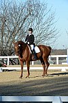 HHB-DressageFinals-11-9-13-2323-DDeRosaPhoto