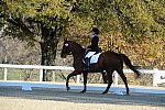 HHB-DressageFinals-11-9-13-2337-DDeRosaPhoto