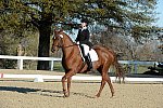 HHB-DressageFinals-11-9-13-2374-DDeRosaPhoto