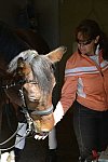 HHB2-10-14-12-1569-Atego-MarianNilsen-DDeRosaPhoto